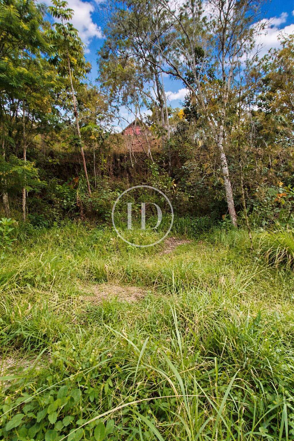 Terreno à venda - Cônego,Nova Friburgo